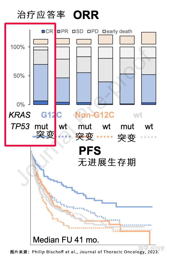 关于关于TP53基因的叙述哪一项是错误的的信息